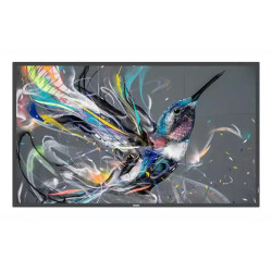 Philips 55 Q-Line 18/7, 4K UHD, Référence: W126648013