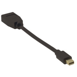 MicroConnect 4K Mini Displayport - DP M-F Référence: W126001716