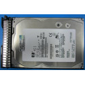 Hewlett Packard Enterprise 600GB 6GA15K 3.5 DP EVA Reference: 516810-003 [Reconditionné par le constructeur]