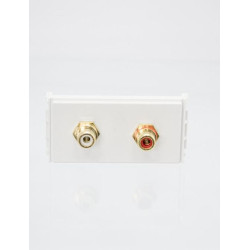Vivolink Outlet Panel 2xRCA Audio Référence: WI221285