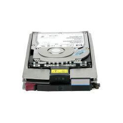 Hewlett Packard Enterprise 300GB HS DUAL PORT FC 10K HDD Reference: 364622-B22-RFB [Reconditionné par le constructeur]