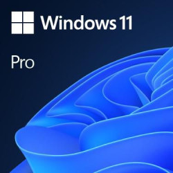 Microsoft Windows 11 Pro OEM French Reference: W128407180