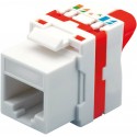 LOGON PROFESSIONAL CAT5E UTP TOOLLESS KEYSTONE Référence: W128317488