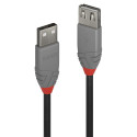 Lindy 1m USB 2.0 Type A Extension Référence: W128456787
