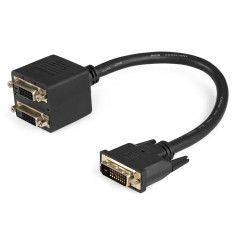 StarTech.com 1FT DVI-D VIDEO SPLITTER CABLE Référence: DVISPL1DD