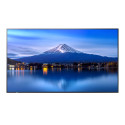 Sharp P556, 55 P-Series LFD, UHD Référence: W129113076