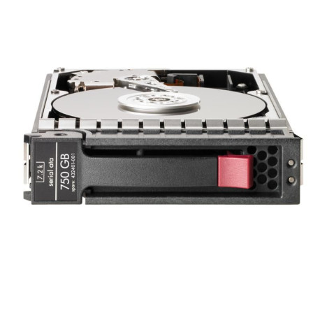 HP 750GB 3.5 Inch SATA, NCQ Référence: RP001225817