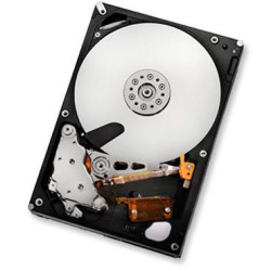 HGST 1TB SATAII 32MB Reference: HUA722010CLA330