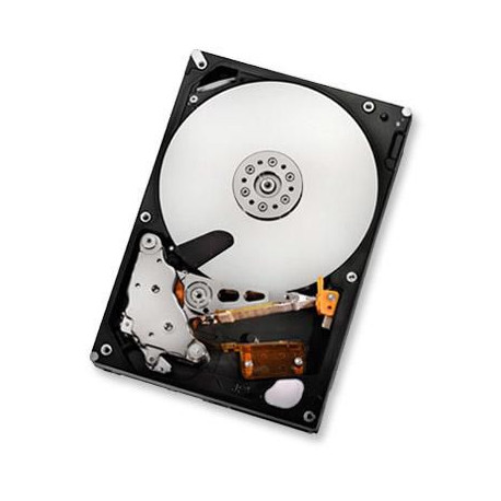 HGST 1TB SATAII 32MB Reference: HUA722010CLA330