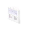 Lanview EURO OUTLET 45x45 - 2-PORT Référence: W128317524