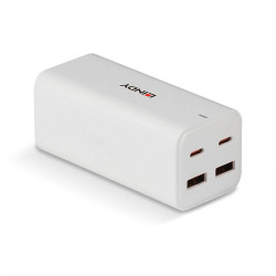 Lindy 100W 4-Port USB Type A & C Référence: W128982033