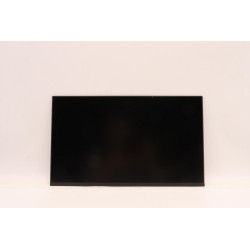 Lenovo DISPLAY FRU IN N140HCA-E5B C1 Reference: W126940573