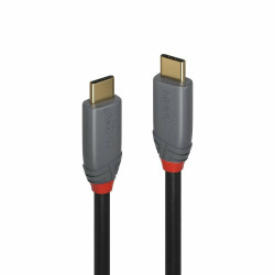 Lindy 2m USB 3.2 Type C Cable, 5A Référence: W128919708