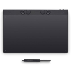 Wacom Intuos Pro L Référence: W129126090