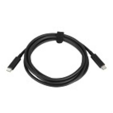Lenovo USB-C to USB-C Cable 2m Référence: 03X7526