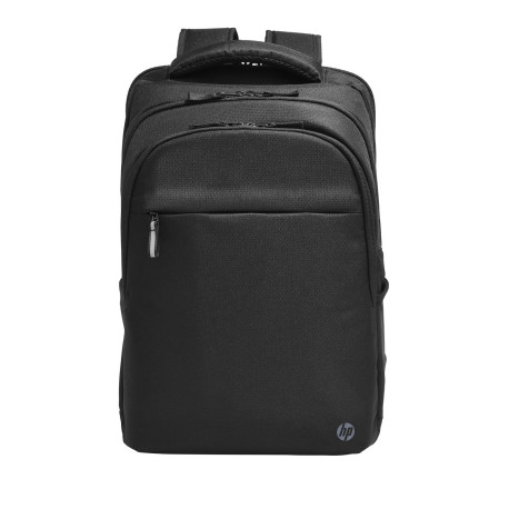 HP Professional 17.3-Inch Référence: W129037397