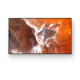 Sony 43 FW-43BZ30P Pro BRAVIA Référence: W129404548
