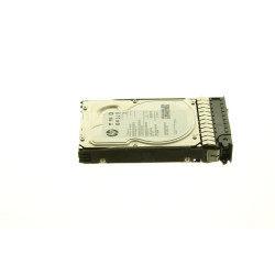 HP 1TB 7200rpm 3.5in SAS-6G Reference: 649327-001 