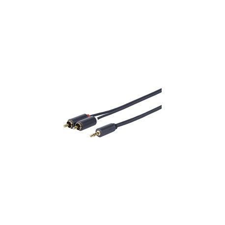 VivoLink PROMJRCA2 3.5MM - 2 X RCA M-M 2 Meter