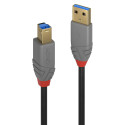 Lindy 2M Usb 3.2 Type A To B Cable, Reference: W128370692