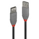 Lindy 1m USB 2.0 Type A Extension Reference: W128456787