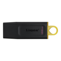 Kingston Technology DataTraveler Reference: W126431187