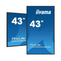 iiyama 43 3840x2160, UHD IPS panel Reference: W128882652