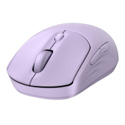 HP 400 Quiet PUP Wireless Mouse Référence: W129231734