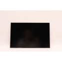 Lenovo DISPLAY FRU AUO 13.3 WUXGA Reference: W126940576