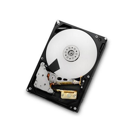 HGST 2TB SATAIII 64MB Reference: HDS723020BLA642-RFB