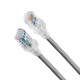 Belden 10GX Patch Cord UTP LSZH Référence: W129291887