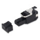 Belden RVAFPUBK-REVConnect 10GX UTP Référence: W129291896