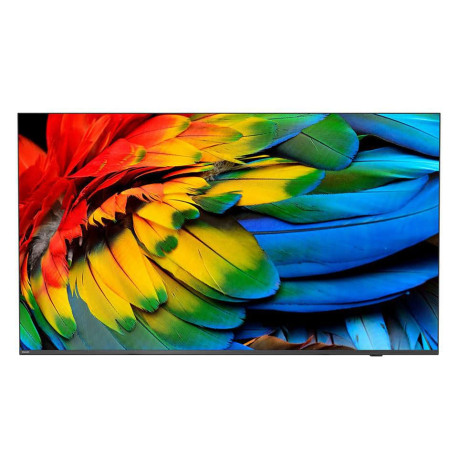 Philips 75 Business TV, 4K UHD, Référence: W126647063
