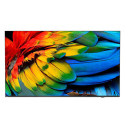 Philips 75 Business TV, 4K UHD, Référence: W126647063