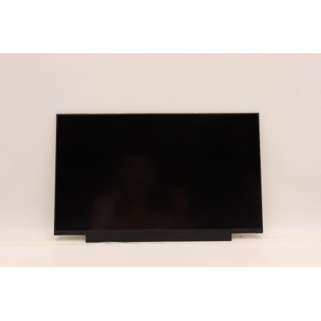 Lenovo 14.0-inch FHD IPS display Référence: W125907605