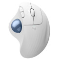 Logitech ERGO M575S Wireless Référence: W128940620