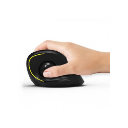 Port Designs Mouse Right-Hand Rf Wireless Reference: W128278528