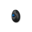 Kensington ProFit Ergo TB450 Trackball, Reference: W128449348