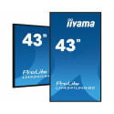 iiyama 43 3840x2160, 4K UHD IPS Reference: W128829869