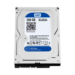 Western Digital WD Caviar Blue 250GB Référence: WD2500AAKX