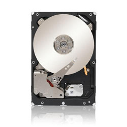 Seagate Enterprise Capacity 3.5 4TB Reference: ST4000NM0063 