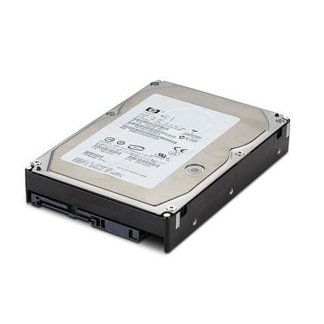 Hewlett Packard Enterprise DRV HD 600GB 2.5 10K 6G SAS Reference: W128830222