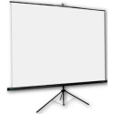 ORAY Byron 2 projection screen 1:1 Référence: W126093554
