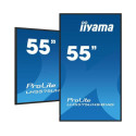 iiyama 55 3840x2160, UHD IPS panel, Reference: W128844331