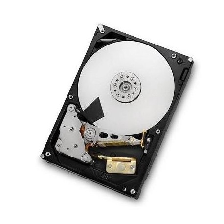 HGST 2TB SAS 64MB, RAID 24x7 Reference: HUS724020ALS640