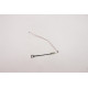 Lenovo Embedded DisplayPort cable Référence: W125948679