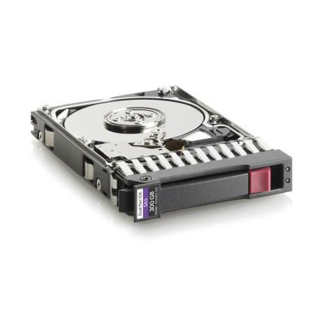 Hewlett Packard Enterprise 300GB 10.000Rpm 2.5 Inch SAS Reference: 493083-001