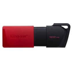 Kingston Technology DataTraveler Référence: W127162594