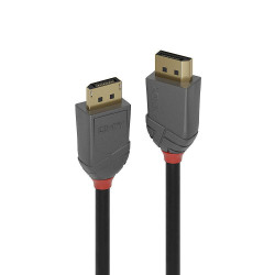 Lindy 5M Displayport 1.2 Cable, Référence: W128370412