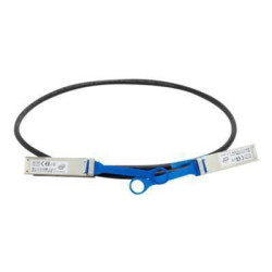 Cisco Meraki 10 GbE Twinax Cable Référence: W128944877 